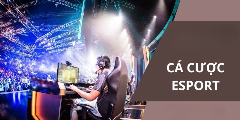 Cá Cược Esports: Xu Hướng Mới Trong Thế Giới Cá Cược